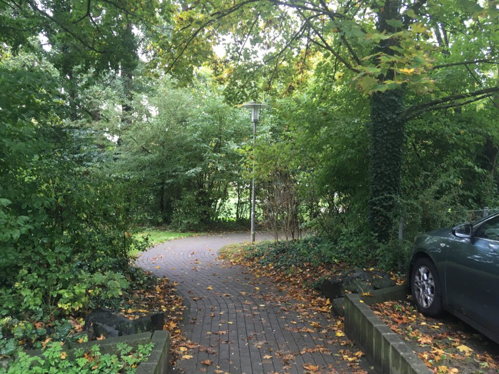 Günflächen und Bäume